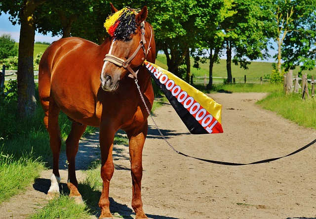 哪怕身處困 哪怕身處困